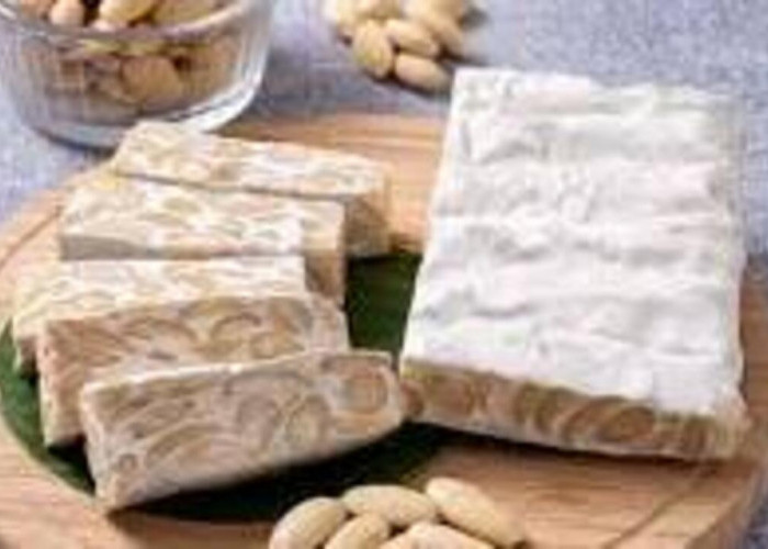 Tempe : Sumber Protein Nabati yang Tinggi