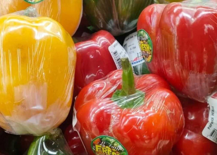 Paprika, Sayuran Serbaguna dengan Warna Menarik dan Nilai Gizi Tinggi
