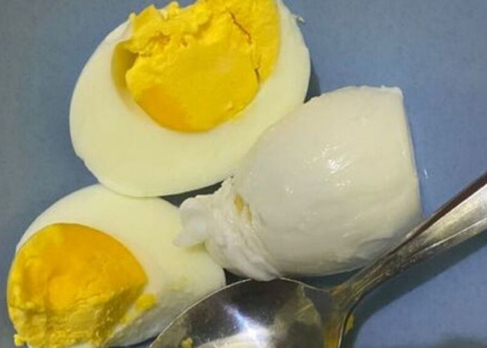 Mitos dan Fakta Tentang Putih dan Kuning Telur: Apa yang Harus Anda Ketahui ?