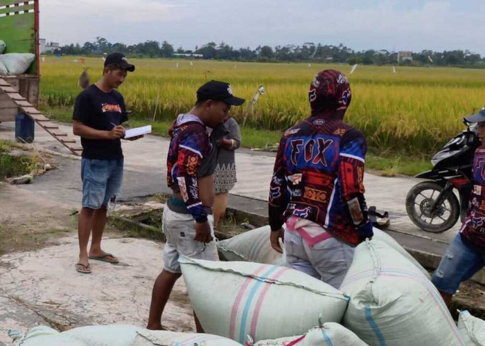 Bulog Data 162.842 Penerima Bantuan Pangan di OKU Raya