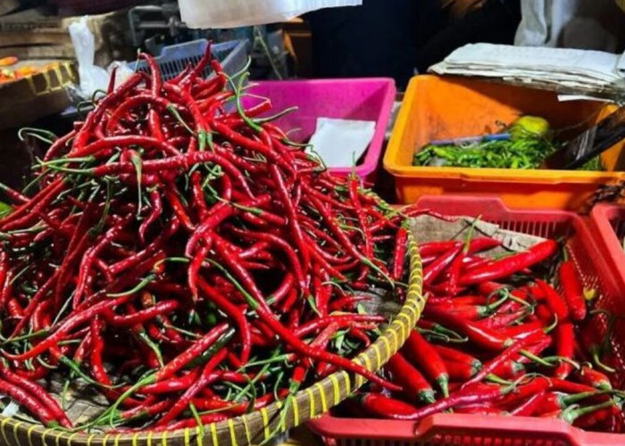Harga Pangan 6 Desember 2025: Cabai Rawit Tembus Rp72.700, Telur Ayam Rp32.350 per Kilogram !