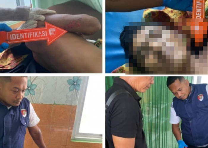 Petani di OKU Tewas Tersengat Listrik saat Sedang Memanen Sawit