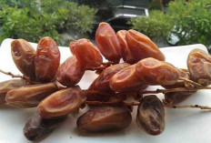 Kurma Superfood Berkhasiat yang Kian Populer di Indonesia