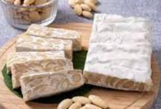 Tempe : Sumber Protein Nabati yang Tinggi