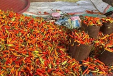 Update Harga Pangan 19 Juni 2026: Cabai Rawit Merah Tembus Rp100 Ribu, Telur Ayam Rp29.700 per Kilogram