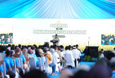 5 Daerah Penghasil Beras Terbesar di Indonesia 2025: Juaranya Banyuasin, Bukan OKU Timur ! 