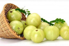Jaga Kesehatan Jantung dan Pencernaan dengan Buah Amla