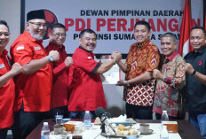 Nyaris Positif Lawan Kotak Kosong di Pilkada Ogan Ilir : Giliran PDIP Labuhkan Dukungan Kepada Panca-Ardani !