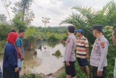 Tak Bisa Berenang, Bocah 9 Tahun Ditemukan Tewas Tenggelam