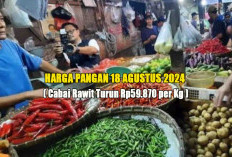 Harga Pangan 18 Agustus 2024 : Cabai Rawit Turun Jadi Rp59.870 per Kg dan Beras SPHP Bulog Stabil !