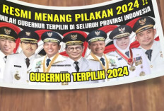 Daftar Lengkap Gubernur Terpilih Pilkada Serentak 2024 se-Indonesia : Suara Tertinggi di Lampung !