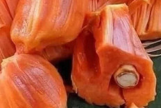 Benarkah Penderita Maag Tidak Boleh Makan Nangka? Simak Penjelasan Ahli Gizi