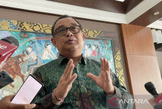 Istana Bantah Jokowi Cawe-cawe di Kepengurusan PDIP