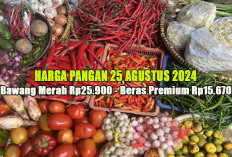 Harga Pangan 25 Agustus 2024 :  Sejumlah Komoditas Naik, Bawang Merah Rp25.900 per Kilogram ! 