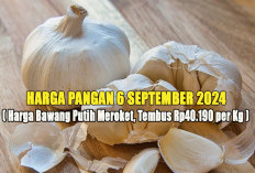 Harga Pangan 6 September 2024 : Harga Bawang Putih Meroket, Tembus Rp40.190 per Kg !