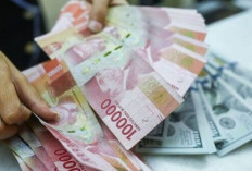 Update ! Kurs Rupiah 2 September 2024 : Melemah 65 Poin Menjadi Rp15.520 per Dolar AS