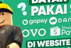 OVO Luncurkan Promo Menarik untuk Merayakan Hari Kemerdekaan