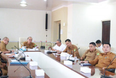 Pemkab Muba Dorong Program Lisdes Demi Peningkatan Kualitas Hidup Masyarakat 