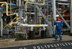 Optimistis Tembus Target Produksi Polytam 49.000 Ton