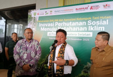 SiAlam Diluncurkan: Transformasi Digital Perhutanan Sosial untuk Ketahanan Iklim di Sumatera Selatan