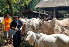 Butuh Edukasi dan Pencegahan Dini : Cegah Penularan Virus PMK !