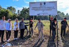 Majelis Hakim PN Kayuagung Tolak Gugatan Perkara Hutan Kota yang Dilayangkan Ahli Waris H Djalil