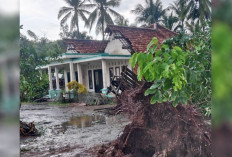 Banyuasin Dihantam Puting Beliung : 50 Rumah Warga Terdampak !