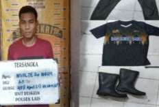 Pelaku Pembunuhan di Kebun Sawit Lais Menyerahkan Diri, Motif Dipicu Pencurian Durian