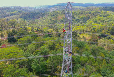 PLN Perkuat Sistem Kelistrikan Sumsel