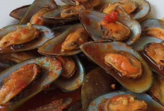 Kerang Hijau : Rahasia Nutrisi dan Keberagaman Kuliner