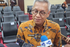 3.995 Hektare Sawah di Sumsel Rusak Parah Akibat Banjir, Dintan TPH Siapkan Bantuan Benih