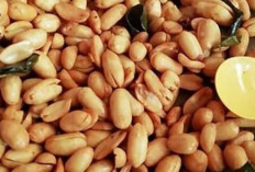 Kacang Bawang: Camilan Gurih yang Menggoda Selera