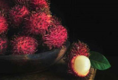 Kulit Rambutan Ternyata Dapat  Melawan Radikal Bebas dan Mencegah Penuaan