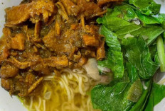 Mie Ayam: Hidangan Legendaris Khas Indonesia yang Tak Lekang oleh Waktu