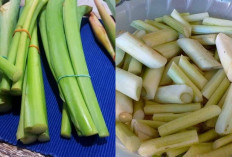 Jaga Kesehatan Gigi dan Gusi dengan Sayur Keladi
