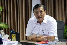 Luhut Minta Kader Golkar Solid dan Tidak Terintervensi Pihak Luar