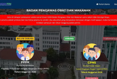 BPOM Buka Lowongan 781 CPNS 2024 Lulusan SMA dan SMK : Cek Persyaratan dan Formasi yang Dibutuhkan!