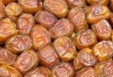 Rahasia Energi Saat Magrib, Pilihan Kurma yang Cocok untuk Berbuka Puasa