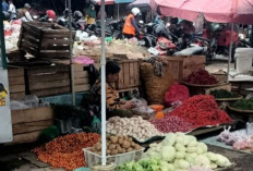 Harga Pangan 20 Juli 2025: Harga Cabai Rawit Rp58.074, Bawang Merah Rp44.070 per Kilogram !
