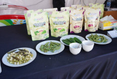 Tanam Edamame, Anak Perusahaan PTPN I Diversifikasi Komoditas