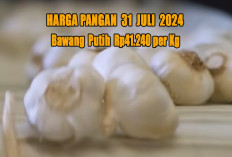 Harga Pangan 31 Juli 2024 : Fluktuatif, Bawang Putih di Harga Rp41.240 per Kilogram !