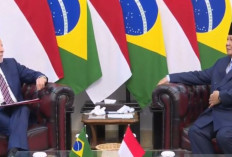 RI Mitra Strategis Brazil Perkuat Selatan Global