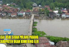 Asal Usul dan Sejarah Sirah Pulau Padang OKI : Kisah Kekuasaan dan Kejatuhan Pangeran Batun ! 