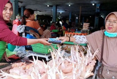 Harga Pangan 7 Mei 2025 : Daging Ayam dan Cabai Rawit Turun, Daging Sapi dan Ikan Naik !