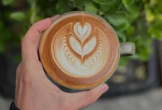 Cappuccino : Minuman Kopi Klasik dengan Perpaduan Rasa Seimbang