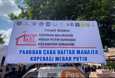 Syarat dan Cara Daftar Manajer Koperasi Desa Merah Putih 2026, Minimal D3 dan Usia Maksimal 35 Tahun