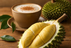 Dibalik Sensasi Nikmatnya Kopi Durian, Ini Manfaat dan Resiko yang Mengintai 