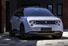 Firefly EV 2025 Resmi Meluncur, Mobil Listrik Mungil Premium dengan 8 Keunggulan 