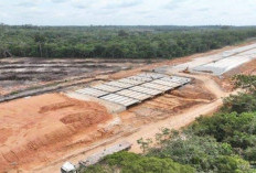 Luar Biasa!!  PT SMB Nekad Hentikan Proyek Tol Betung - Tempino, Masih Klaim Lahan Negara mIliknya