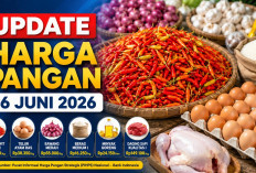 Update Harga Pangan 16 Juni 2026: Cabai Rawit Tembus Rp75.750, Telur Ayam Ras Rp30.350 per Kilogram